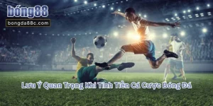 Tỷ lệ và cách tính tiền cá cược bóng đá